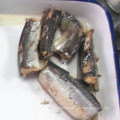 Canned Sardines Preservatives in Oil